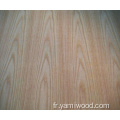 Red Gurjan Core Plywood Caoutch Rubber Oak Plavier